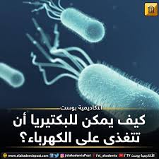 كيف يمكن للبكتيريا أن تتغذى على الكهرباء منذ اكتشاف العلماء أن بعض الميكروبات يمكنها الحصول على الطاقة من الشحنات الكهربائية تسائل ا Lockscreen Movies Poster