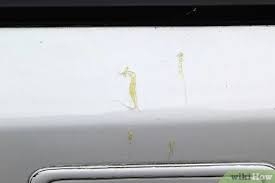 In that case, get a hose or a watering can filled with clean water and rinse the area around the sap. 3 Ways To Remove Tree Sap From Your Car Wikihow