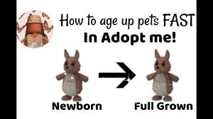 Gamers can obtain pets roblox's adopt me. Best Way To Age Up Pets In Adopt Me Youtube