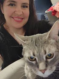 Lost elderly indoor cat in Kalamazoo County near 319 Wall Street