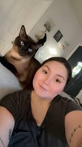 Children's book about Siamese cat and human baby sister