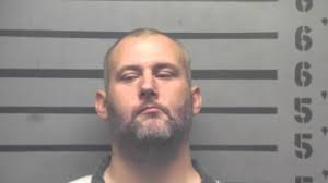 She's one of our kids': Spider monkey returns to family after missing for  24 hours