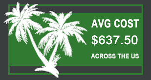 The average palm tree removal service for up to a 30 feet tall tree is $215. How Much Does Palm Tree Trimming Cost Phoenix Trim A Tree Llc