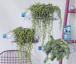 Die schweizer entwicklung vivit macht es in wenigen schritten möglich, selber einen das vivit system wird aus besonders hochwertigen materialien hergestellt. Vertikaler Garten Gestaltungsideen Und Tipps Mein Schoner Garten