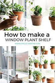 Diy Floating Window Plant Shelf Tutorial Grillo Designs Floating Plants Plants Window Plants