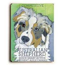 He ranks the following colors in the low to medium range, generally: 290 Australian Shepherd Ideas Australian Shepherd Dogs Australian Shepherd Dogs
