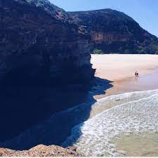 10 Best Sydney Beaches Near Bondi Beach Sydney Beaches Best Family Beaches Coogee Beach