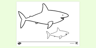Contains 18 baby shark coloring pages and 5 color wonder markers. Baby Shark Colouring Page Colouring Sheets