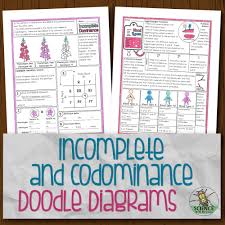 Codominance is a relationship between two versions of a gene. Incomplete And Codominance Doodle Diagrams