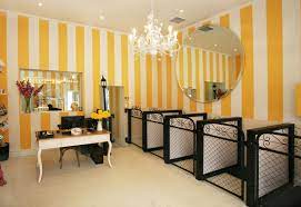 Tine characters on ladders care of cute puppy at groomer salon, cut wool, brushing comb, perfume, drying cartoon flat vector illustration. Dog Grooming Salons Near Me Cheaper Than Retail Price Buy Clothing Accessories And Lifestyle Products For Women Men