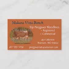 Same day business card printing. Vista Business Cards Business Card Printing Zazzle