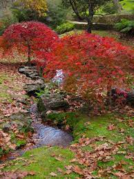 Everglades Garden Leura Nsw Landscape Design Japanese Garden Blue Mountain