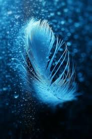 Pin By Malaksy On صور خياليه وانمي Feeling Blue Blue Feather Shades Of Blue