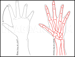 How To Draw Anime Hands Step By Step Drawing Guide By Dawn Dragoart Com Animeoutline is one of the best and largest resources for quality. how to draw anime hands step by step