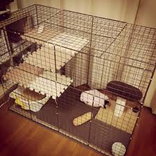 百均グッズで子猫用ケージを自作してみた ろはこは日記 cat diy cat pics cats