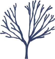 Maybe you would like to learn more about one of these? Fruit Tree Pruning Basics Mother Earth News