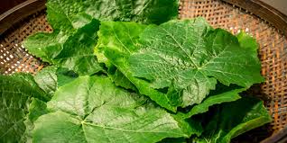 ۲ روش فریز کردن برگ مو و مدت زمان نگهداری آن | ستاره