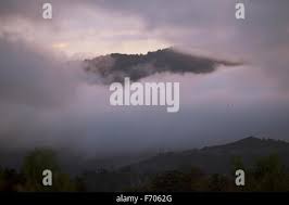 MOUNTAIN VIEW, CA, USA