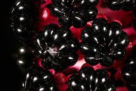 Image result for Hilleria