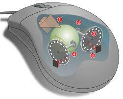 Wikipedia The Free Encyclopedia Computer Mouse Computer Mouse
