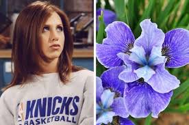 Everyone Has A Type Of Flower That Matches Their Personality Here S Yours Interesting Quizzes Fun Quizzes To Take Fun Quizzes