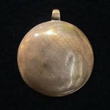 Image result for Triumfetta amuletum