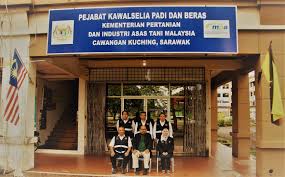 Kawalselia padi dan beras negeri kedah, alor staras, keda, malaizija 5.0. Kak Kawalselia Padi Dan Beras Cawangan Kuching Sarawak Facebook