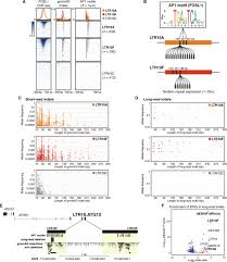 Endogenous retroviruses mediate transcriptional rewiring in response to  oncogenic signaling in colorectal cancer | Science Advances