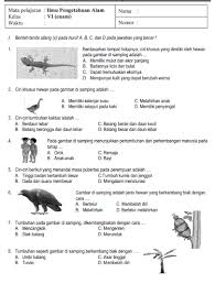 Soal Uas Ipa Kelas 8 Semester 1 Dan Kunci Jawaban Essay