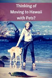 Schedule a pair of rabies vaccinations for the dog. Thinking Of Moving To Hawaii With Pets