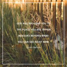 2 corinthians 12:10 esv / 301 helpful votes Pin On Jesus