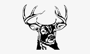 Single candle glowing with silhouette of deer head with antlers outlined against the wall. White Deer Silhouette Png Deer Head Png Images Deer Head Png Image Transparent Png Free Download On Seekpng