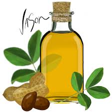 The Nutty Oil Ford On Food Sunflower Oil Oils Clip Art