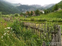 Village Life In Lepushe Albania Village Life Albania Balkans Travel