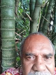 What type of bamboo is this?