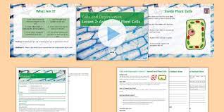 Check spelling or type a new query. Animal And Plant Cells Ks3 Cells And Organisation Beyond