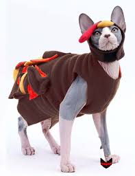 Some hairless cats have very fine peach fuzz while. Cat Costume Turkey Cat Hat Cat Costume Thanksgiving Turkey Cat Shirt And Fleece Sphynx Cat Clothes Dog Clothes Cat Sweater Cat Costumes Cat Clothes Sphynx Cat