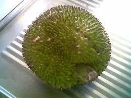 Lihat juga resep kolak gula merah (ubi jalar, pisang, sukun) enak lainnya. Thank God I M A Country Boy Still Crazy After All These Years