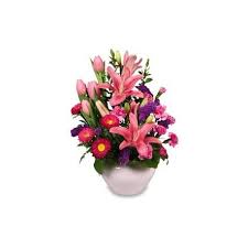For those special recipients who are younger, nothing cheers. Get Well Gift Flowers Giftpattaya Com