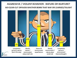 Image result for Violent Behavior