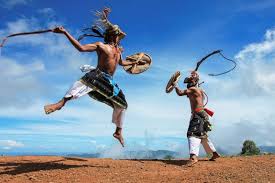 Alat musik nuren ini adalah alat musik yang lumayan dikenal pada daerah solor barat. Kebudayaan Nusa Tenggara Timur Rumah Pakaian Tarian Lengkap