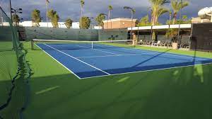 Pin On Ace Surfaces Courts