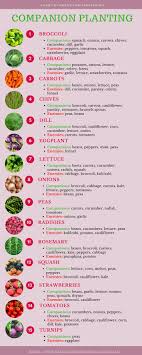 Erin Cerio (erincerio)