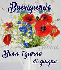 Graziella on Twitter: "Buongiorno e buon mese di giugno ???? che questo mese  possa portare tanti sorrisi e serenità a tutti carissima Anita. Un  affettuoso abbraccio ????????… https://t.co/ClIrQZhr2Z"