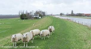 Afbeeldingsresultaat voor purmerringdijk