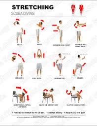 Exercise, which includes being active, stretching, practicing good posture and doing. Free Printable Stretching Guides Ramfitness