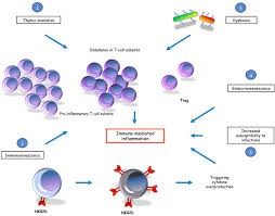 Image result for Polymyalgia Rheumatica