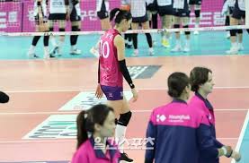 뼈 드러나도록 뜯기는데, 견주는 말리지도 신고하지도 않았다. í¬í†  ê¹€ì—°ê²½ ì•„ì‰¬ìš´ ë°œê²°ìŒ ì¤'ì•™ì¼ë³´