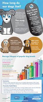 Life Expectancy Of Dog Breeds | Rspca