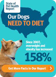 State Of Pet Health Banfield Pet Hospital